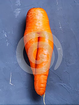 Trendy ugly organic carrot that looks like female legs