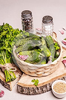 Trendy ugly organic cucumbers in a basket, garlic cloves, parsley greens, mustard, spices