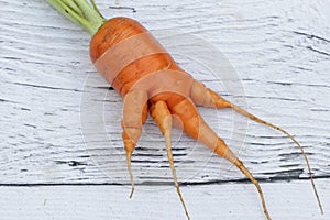 Trendy ugly organic vegetable carrot on the wooden background. Funny, unnormal vegetable or food waste concept.