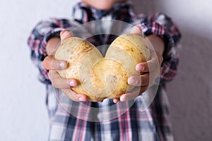 Trendy ugly vegetable heart shaped potato in hands