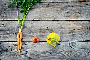 Trendy ugly vegetables on barn wood