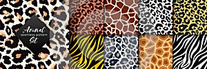 Trendy wild animal seamless pattern collection. Vector leopard, cheetah, tiger, giraffe, zebra skin texture set for fashion print photo