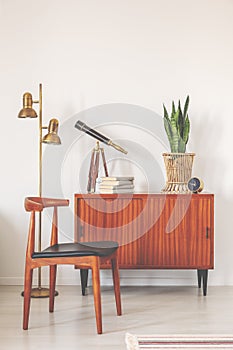 Trendy wooden chair next to retro cabinet with books and plant in pot, real photo with copy space on the empty white wall