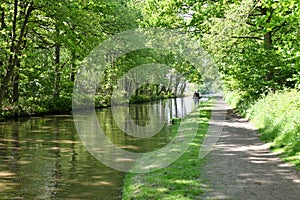 Trent and Mersey Canal in summer sunshine