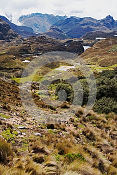 Tres Cruces pass in Cajas National Park, Ecuador