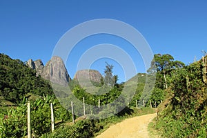 Tres Picos Park, Atlantic Rainforest, Brazil photo