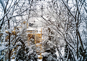 trestles around the house