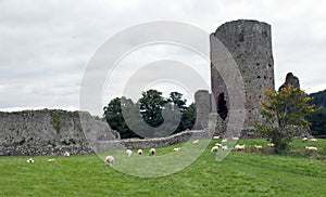 Tretower Castle Ruins