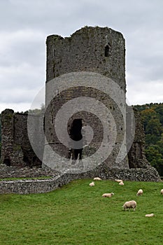 Tretower Castle, Powys, Wales, UK photo