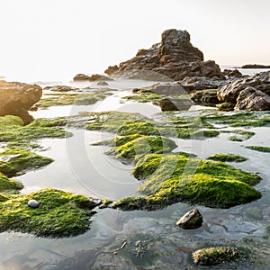 Trevellas porth photo