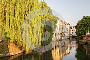 Treviso