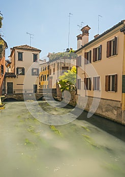 Treviso, town Italy