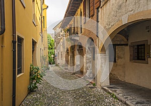 Treviso, town Italy photo