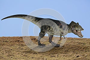 TRex dinosaur
