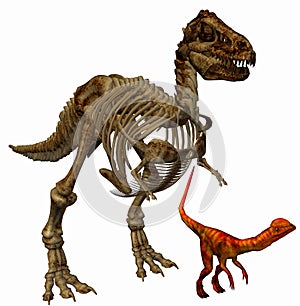 Trex skeleton