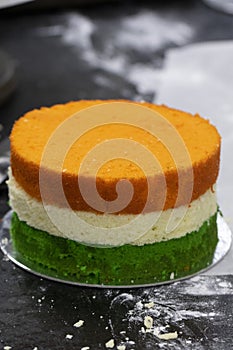 Tri Coloured Cake - Independence Day/Republic Day Special 15th August/26th January India