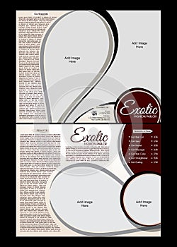 Tri fold Exotic Parlor Brochure Template photo