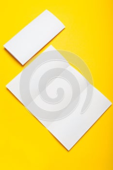 Tri fold white brochure paper blank, DL flyer, booklet design