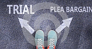 Trial and plea bargain as different choices in life - pictured as words Trial, plea bargain on a road to symbolize making decision