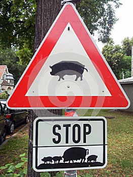Triangle Roadsign Stop Attention pigs photo