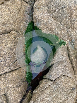 Triangle shape rock pool on a beach at low tide, lines with seaweed. Top down.