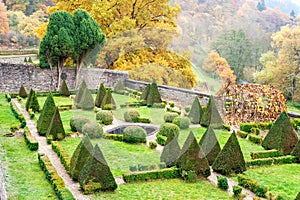 Triangle shaped topiary green trees in Burresheim Castle ornamental garden