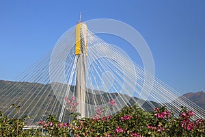 Triangular design of Ting Kau Bridge