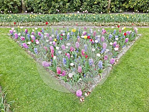 Triangular flower bed in Keukenhof (Netherlands)