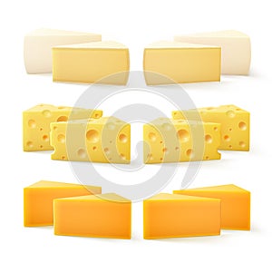 Triangular Pieces of Various Kind Cheese Swiss Cheddar Bri Camembert