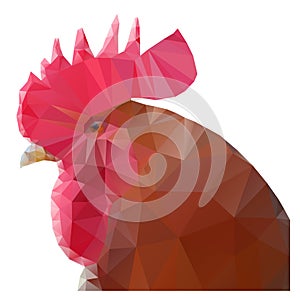 Triangular rooster