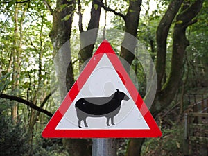 A triangular sign warning of sheep