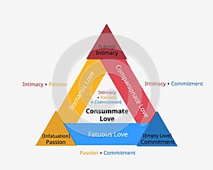 Triangular Theory of Love developed by Robert Sternberg to show the three components of love