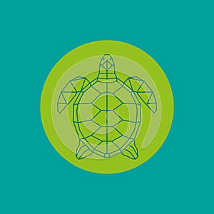 Triangulated green turtle.