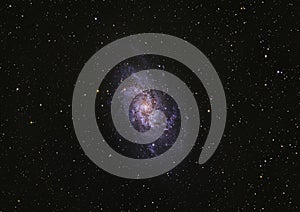 Triangulum galaxy M33 photo
