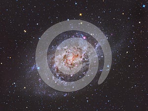 Triangulum Galaxy M33 photo