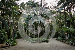 Trianon Park at Paulista Avenue - Sao Paulo, Brazil