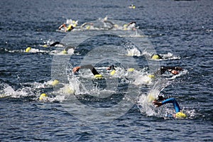 Triathlon swimmers