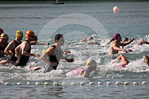 Triathlon swimmers