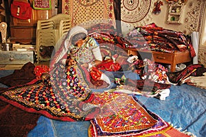 Tribal Artists in India