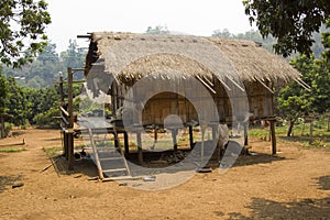 Tribal Bamboo Hut