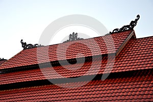 Tribal carvings on the roof top of buildings