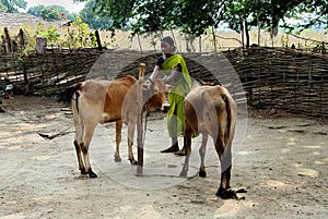 Tribal Community in Bastar