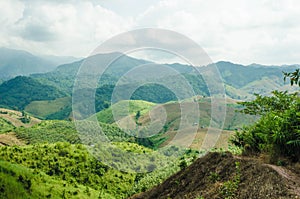 Tribal farms destroys the forest on the mountain in Thailand