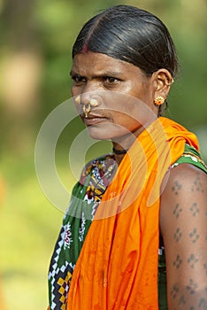 Tribal Lady Portrait in traditional dress and nosering