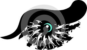 Tribal owl eye symbol on the white