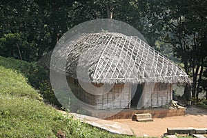 Tribal Thatch Hut inside Deep Jungle