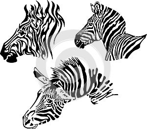 Tribal Zebras Vector Illustrations Set