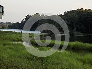 A tributary of the Patuxent River in Benedict Maryland