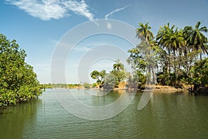 A tributary of the River Gambia near Makasutu Forest in Gambia,