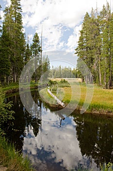 Tributary in scenic forest photo